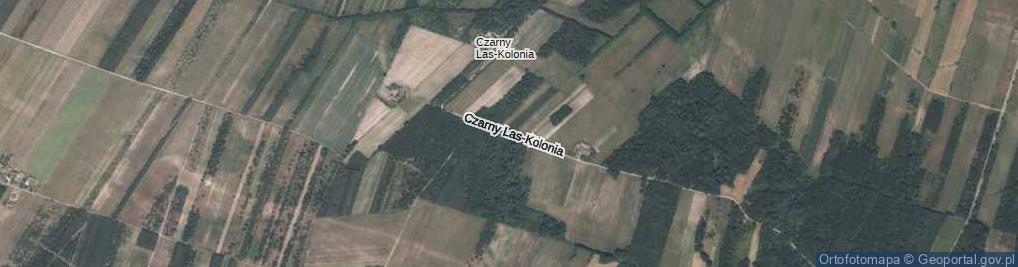 Zdjęcie satelitarne Czarny Las-Kolonia ul.